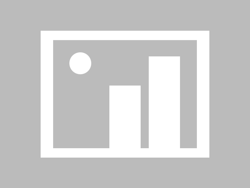 博鱼体育到底怎么样？全面解析